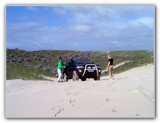DJ 4Wheel Driving 1